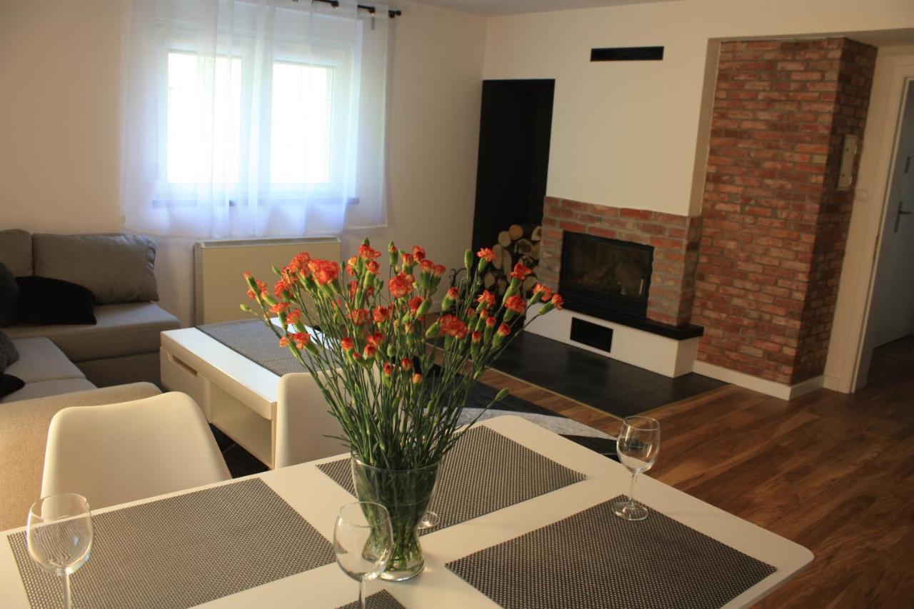 Villa Lupus - Apartament Z Prywatna Sauna Szklarska Poreba Extérieur photo