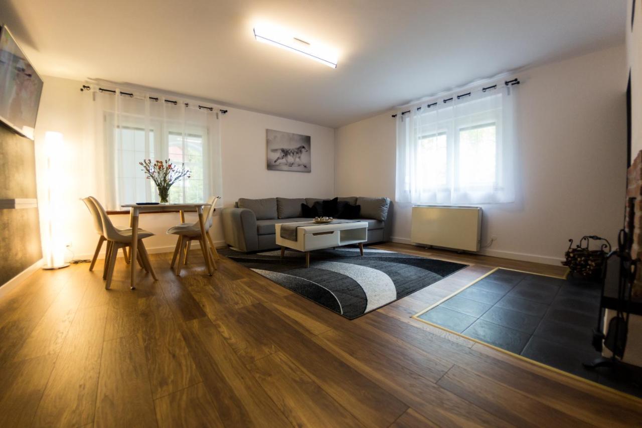 Villa Lupus - Apartament Z Prywatna Sauna Szklarska Poreba Extérieur photo