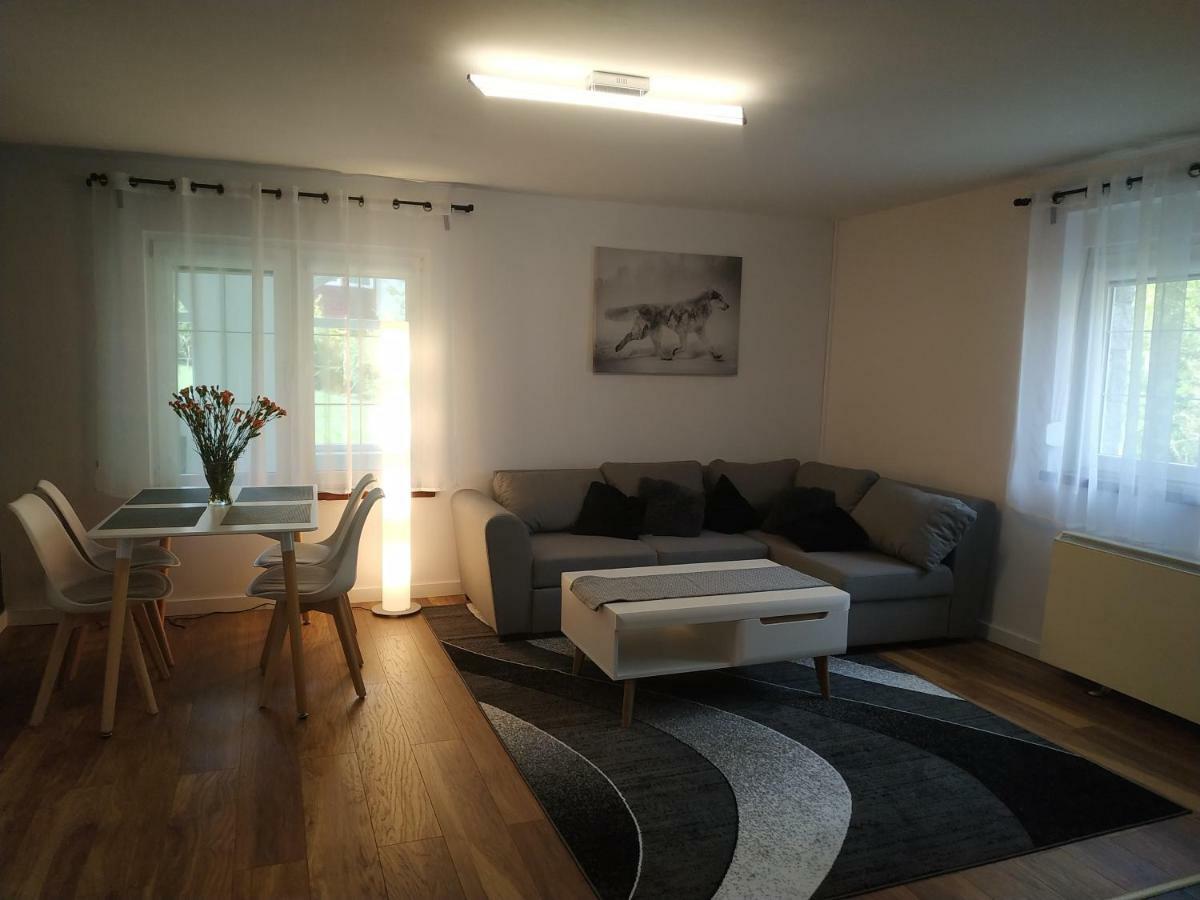 Villa Lupus - Apartament Z Prywatna Sauna Szklarska Poreba Extérieur photo